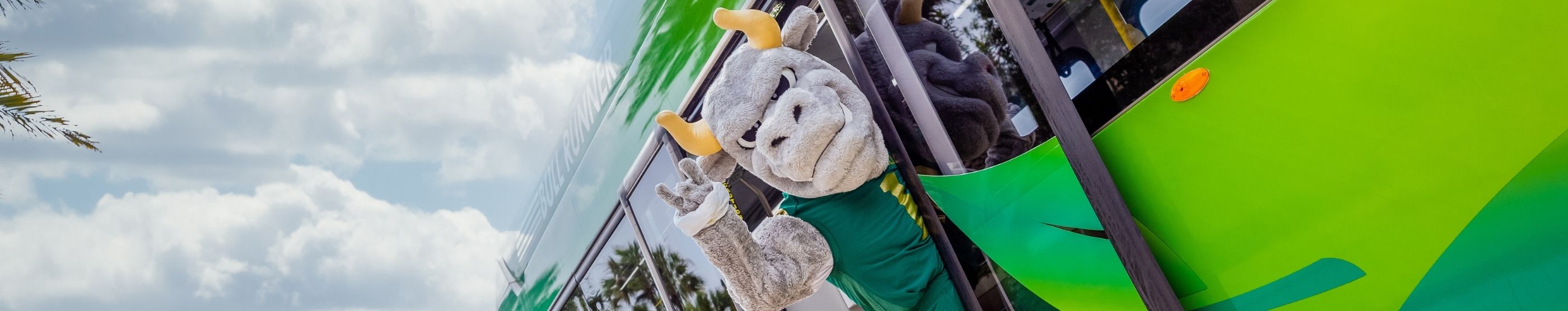 rocky the bull